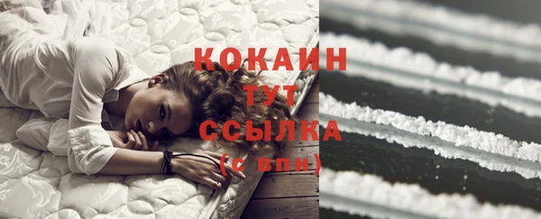 индика Бронницы
