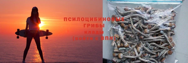 трава Бородино