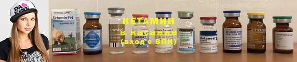 индика Бронницы
