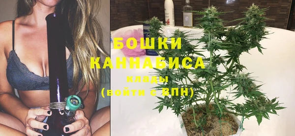 индика Бронницы