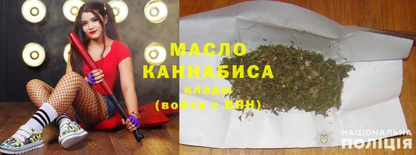 индика Бронницы